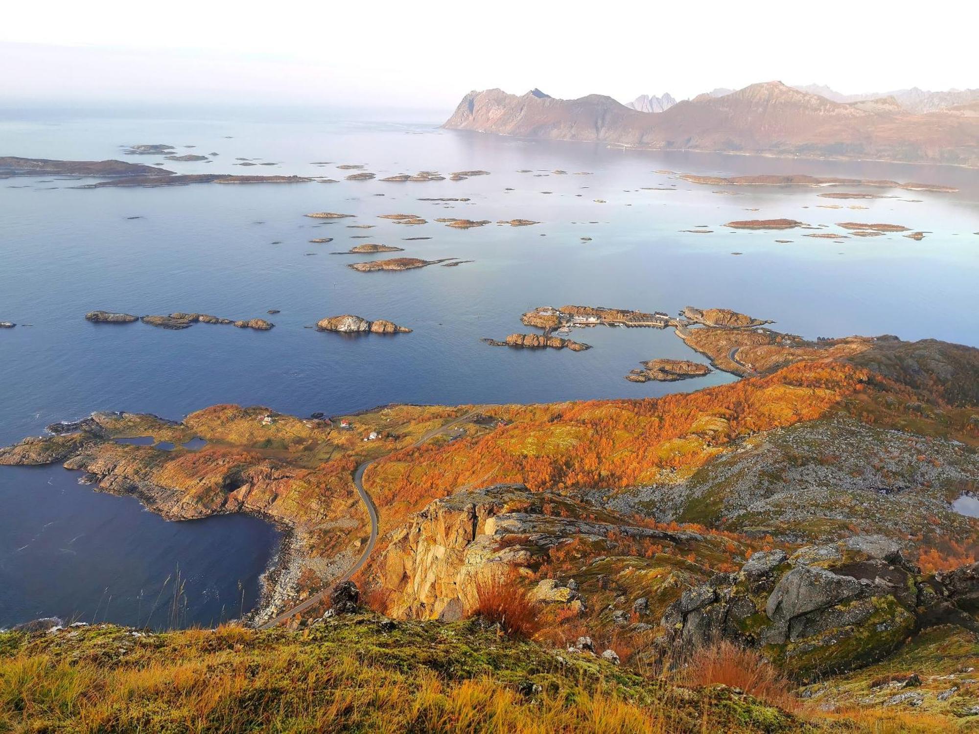 Ferrytale, Cozy, Spacious House On Senja Gryllefjord Εξωτερικό φωτογραφία