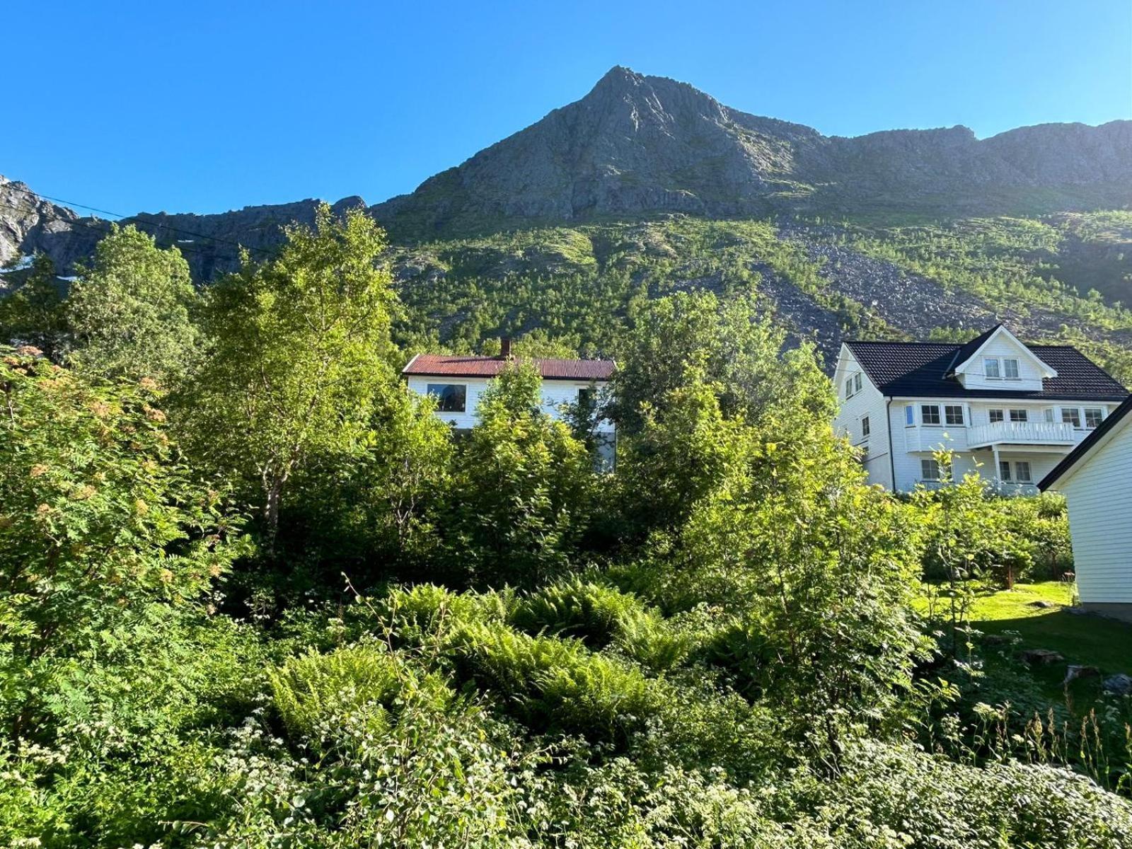 Ferrytale, Cozy, Spacious House On Senja Gryllefjord Εξωτερικό φωτογραφία